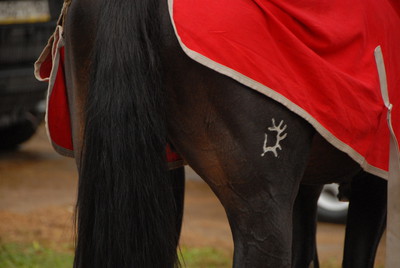 AKS_7378.JPG