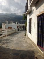 IMG_0036.JPG
