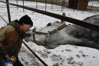 Димка и Шабанак