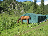 Конный поход по Кульсайским озерам (Казахстан)