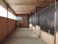 DSCN0104.JPG