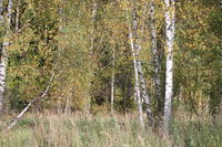 f650ea76 8d10 4336 b954 eb3be69f3ff9