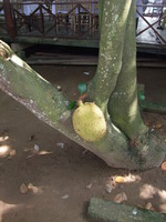 Вьетнам, зима 2011
