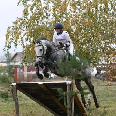 gray2 (400)